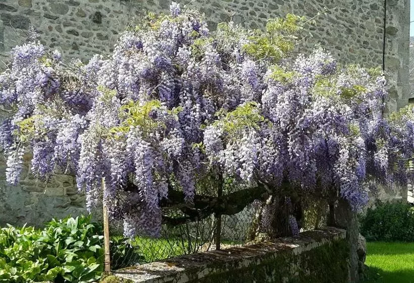 ペンション Village De Vie