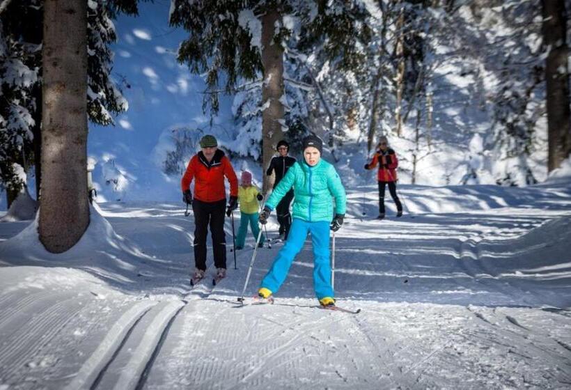 Apartment Holiday Lungötz