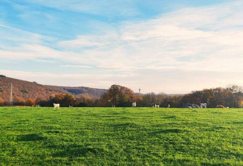 ベッドアンドブレックファースト Ferme De La Petite Fagne