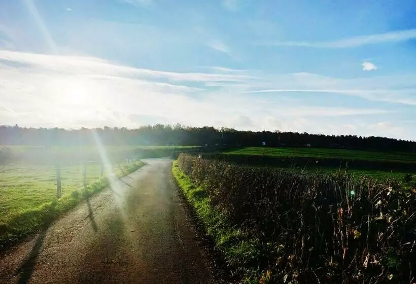 ベッドアンドブレックファースト Ferme De La Petite Fagne