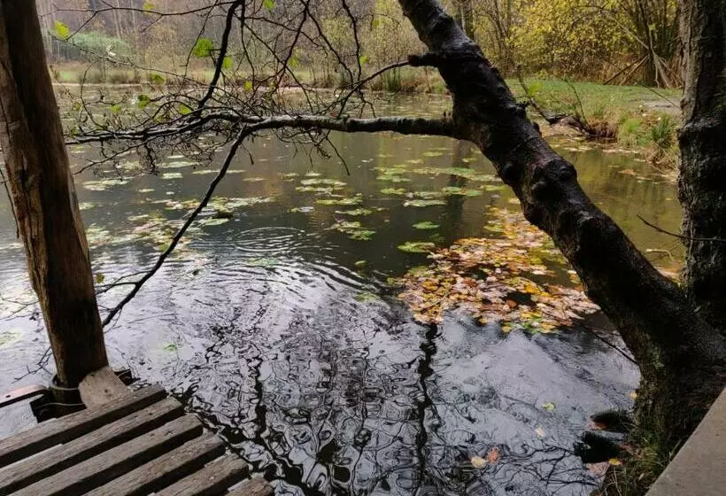 ベッドアンドブレックファースト Ferme De La Petite Fagne