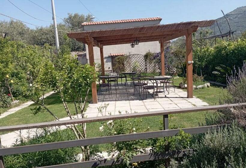 Bed and Breakfast Vivere A Colori