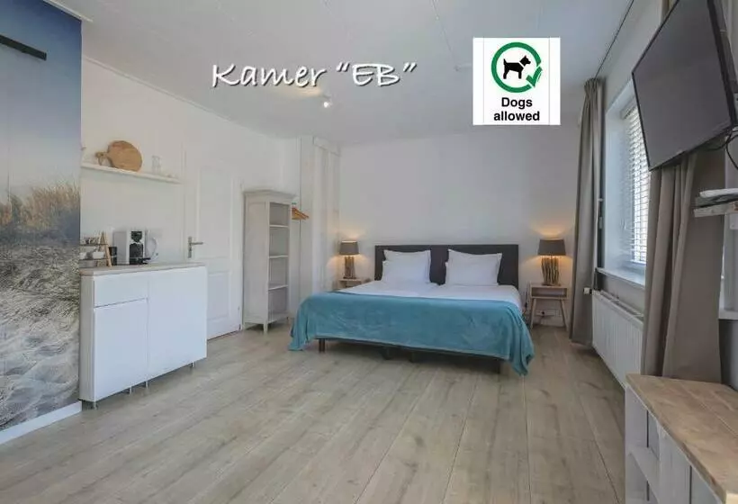 Aamiaismajoitus (B&B) Zilt Texel