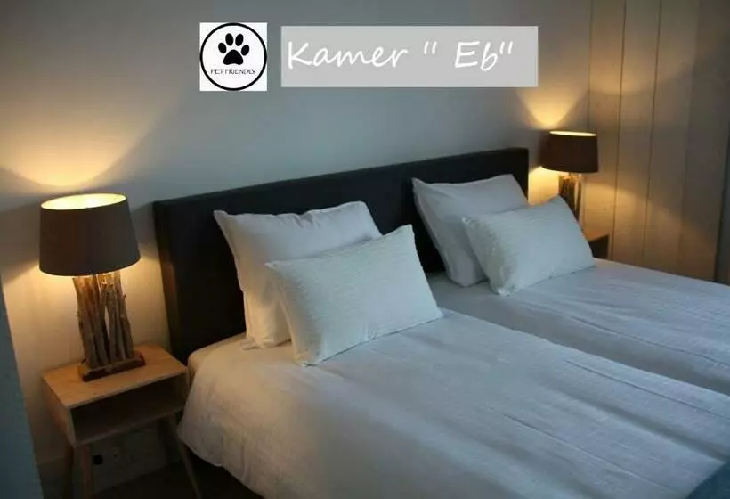 Aamiaismajoitus (B&B) Zilt Texel