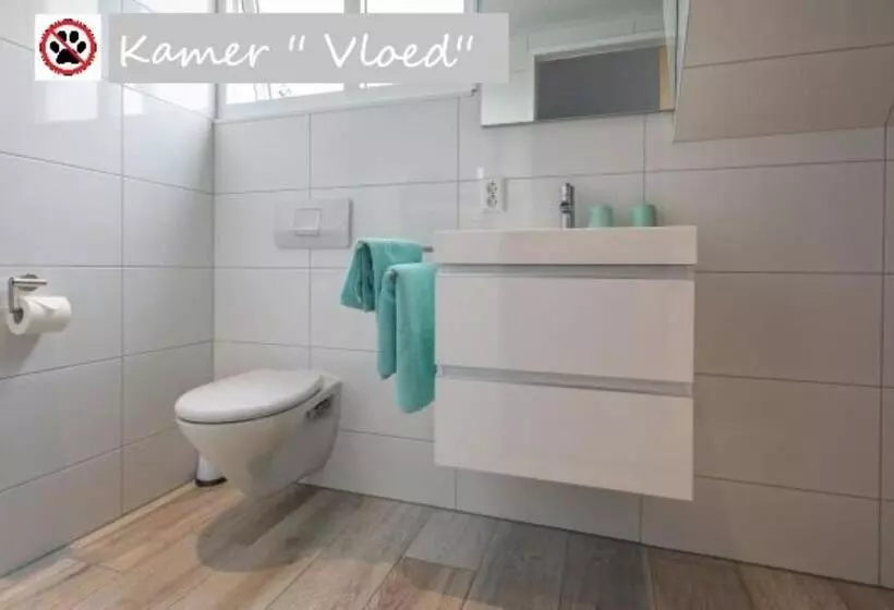 Aamiaismajoitus (B&B) Zilt Texel