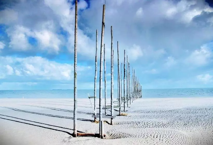 Aamiaismajoitus (B&B) Zilt Texel