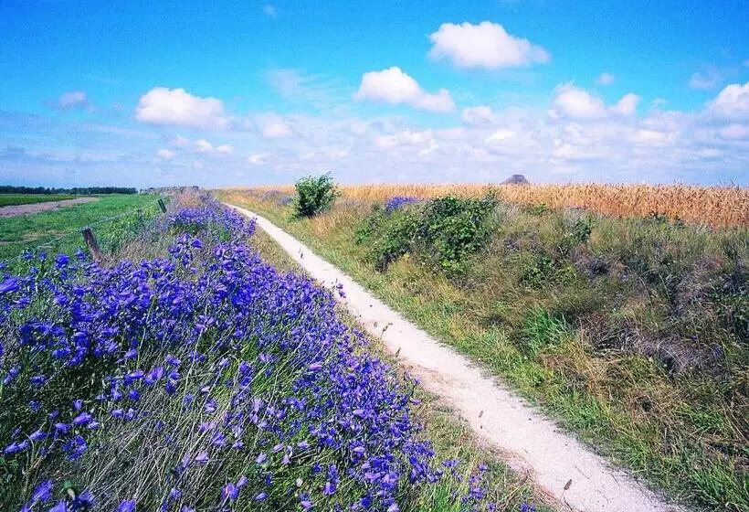 Aamiaismajoitus (B&B) Zilt Texel