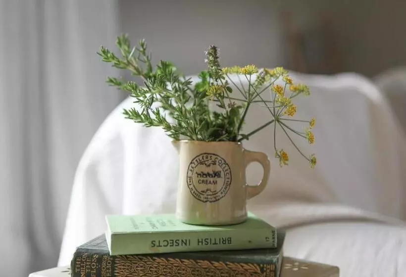 Cedar Park Bed & Breakfast