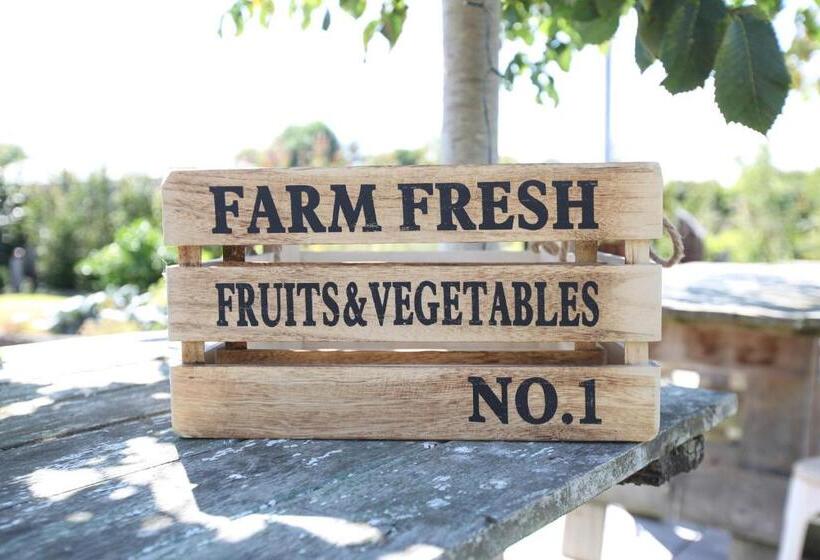 Cedar Park Bed & Breakfast