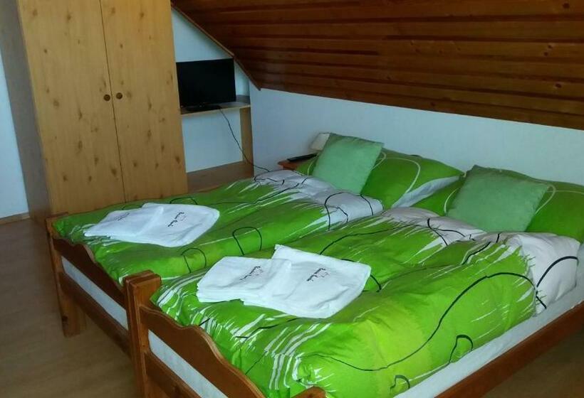 פנסיון Penzion Burda