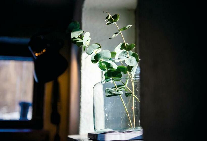 פנסיון Vivante Basement Accommodation