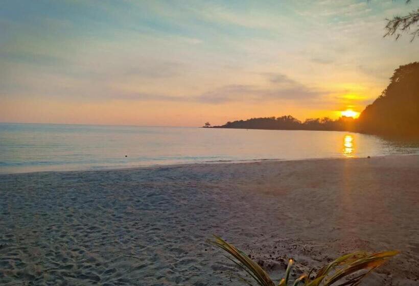 פנסיון Walk In Homestay