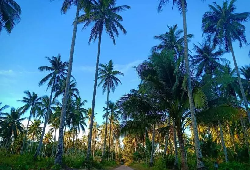 Majatalo Walk In Homestay