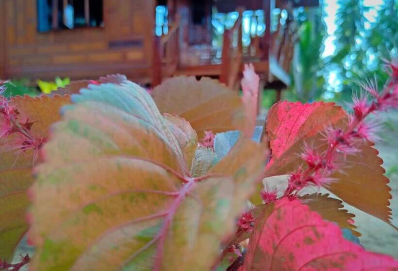 פנסיון Walk In Homestay