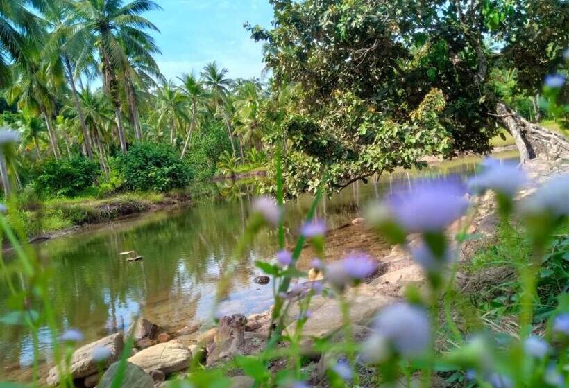 פנסיון Walk In Homestay