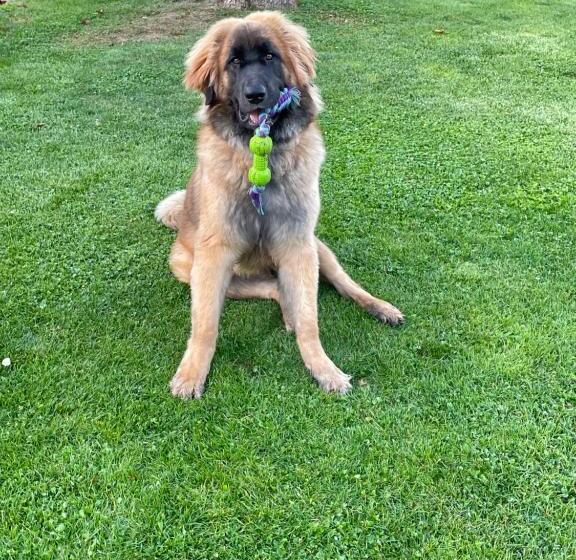 مبيت وإفطار Domaine Du Clos Pallacien