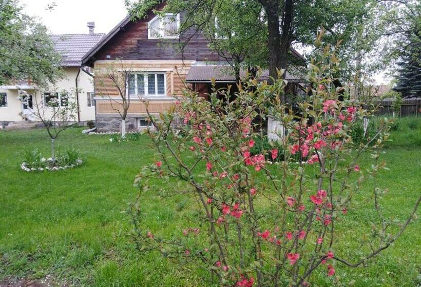 펜션 Casa Traditionala Subcetate