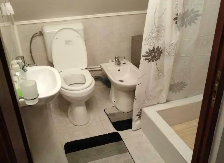 ペンション Casa Traditionala Subcetate