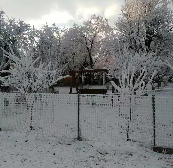 ペンション Casa Traditionala Subcetate