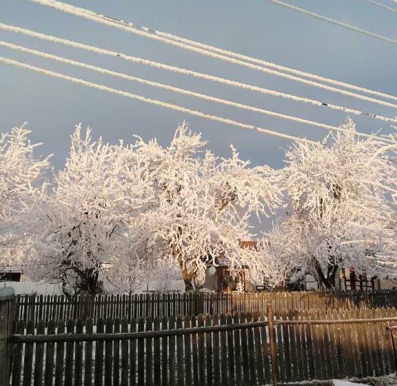 펜션 Casa Traditionala Subcetate