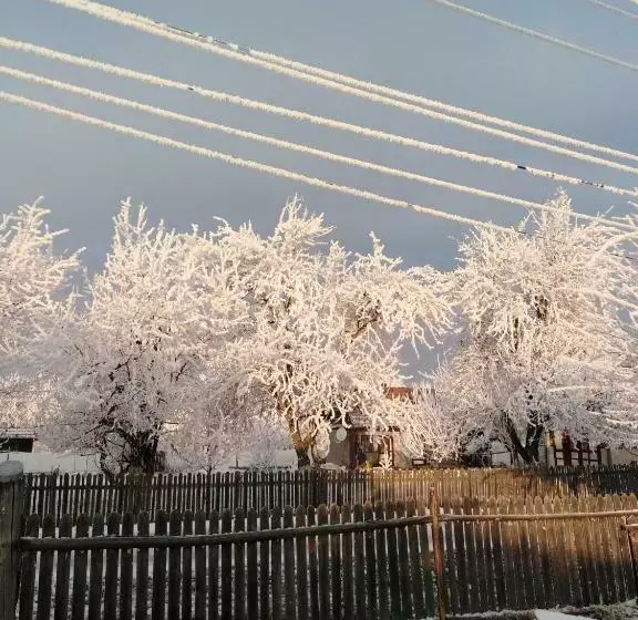 ペンション Casa Traditionala Subcetate