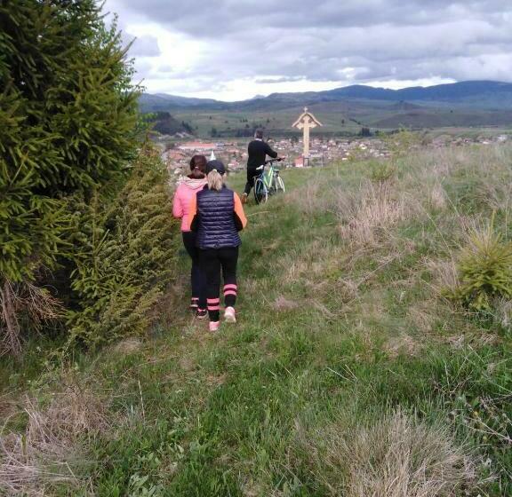 펜션 Casa Traditionala Subcetate