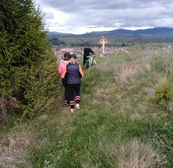 ペンション Casa Traditionala Subcetate