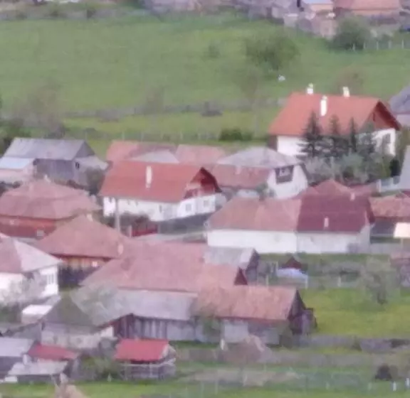 ペンション Casa Traditionala Subcetate