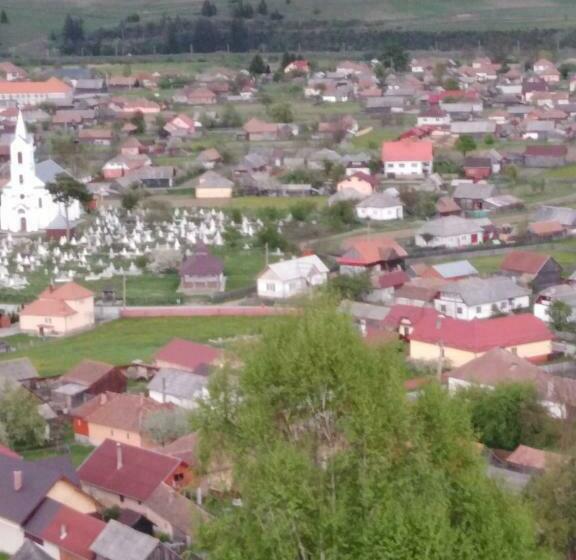 펜션 Casa Traditionala Subcetate