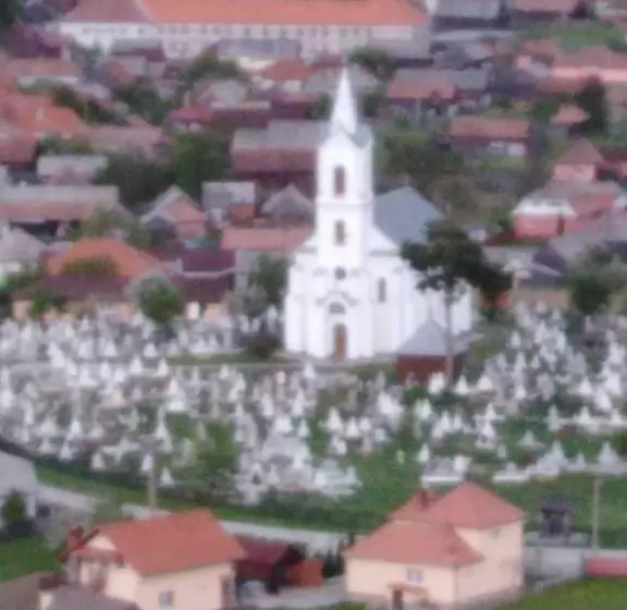 ペンション Casa Traditionala Subcetate