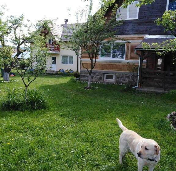 펜션 Casa Traditionala Subcetate