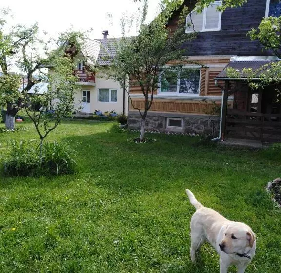 ペンション Casa Traditionala Subcetate