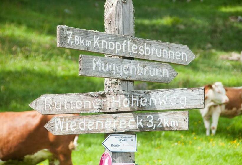 膳宿费 Gästehaus Sonnhalde