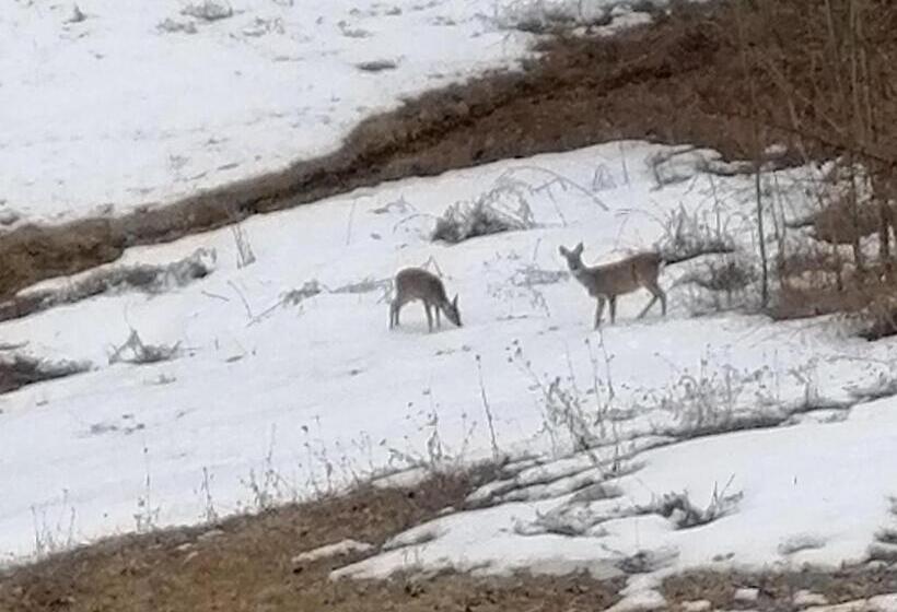 Pensjonat Le 4 Stagioni
