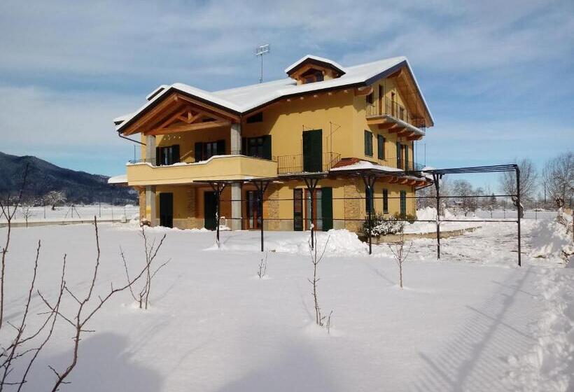 B&b L Albero E Le Stelle