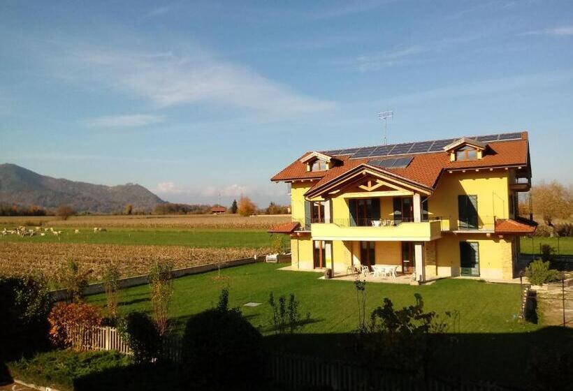 B&b L Albero E Le Stelle