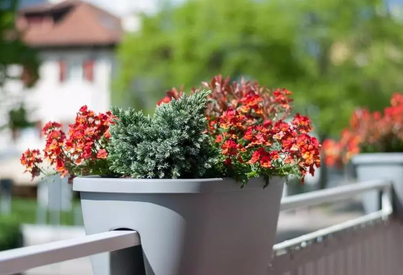 ベッドアンドブレックファースト Gasthof Hanni