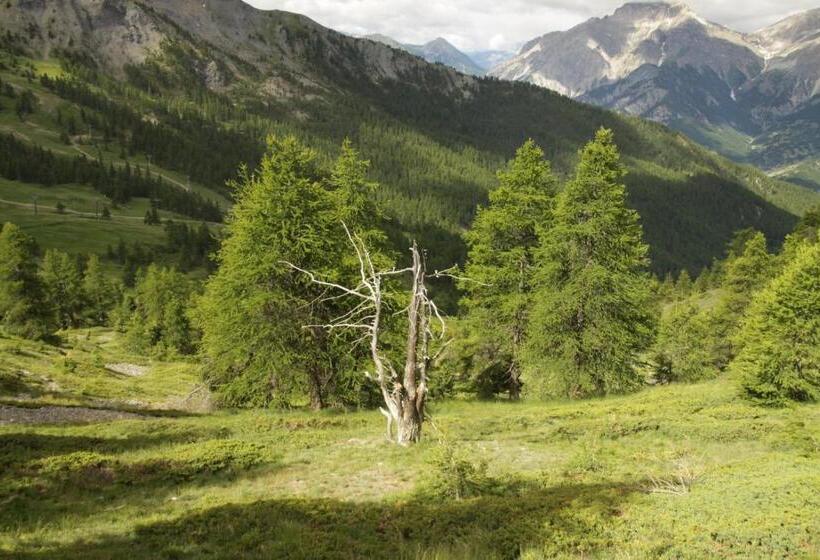 مبيت وإفطار One Room