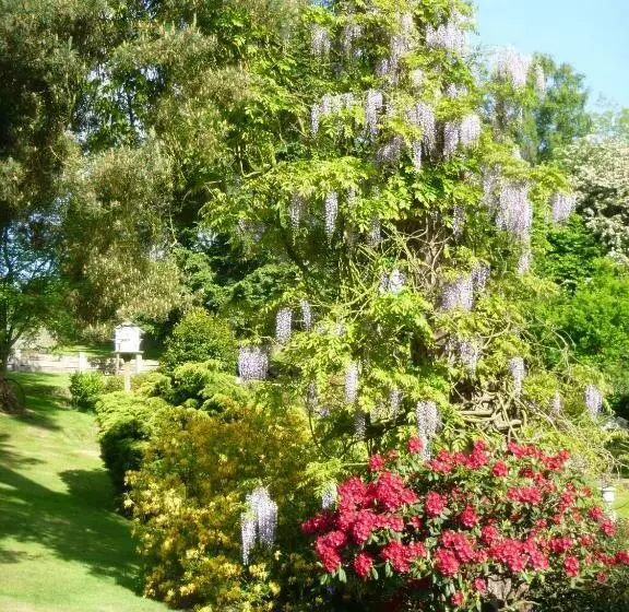 Chart House Bed And Breakfast