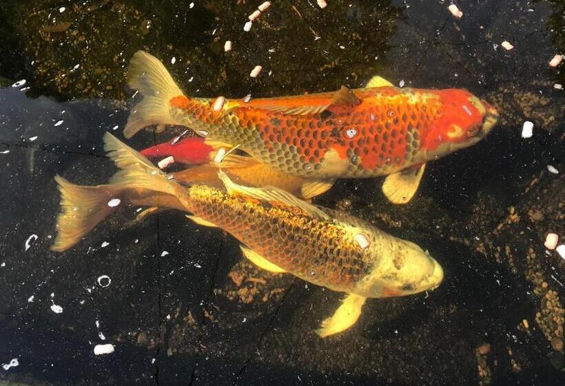 Chart House Bed And Breakfast