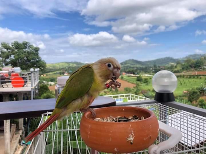 Pension บ้านแสงเพ็ญ By แช่มช้อย