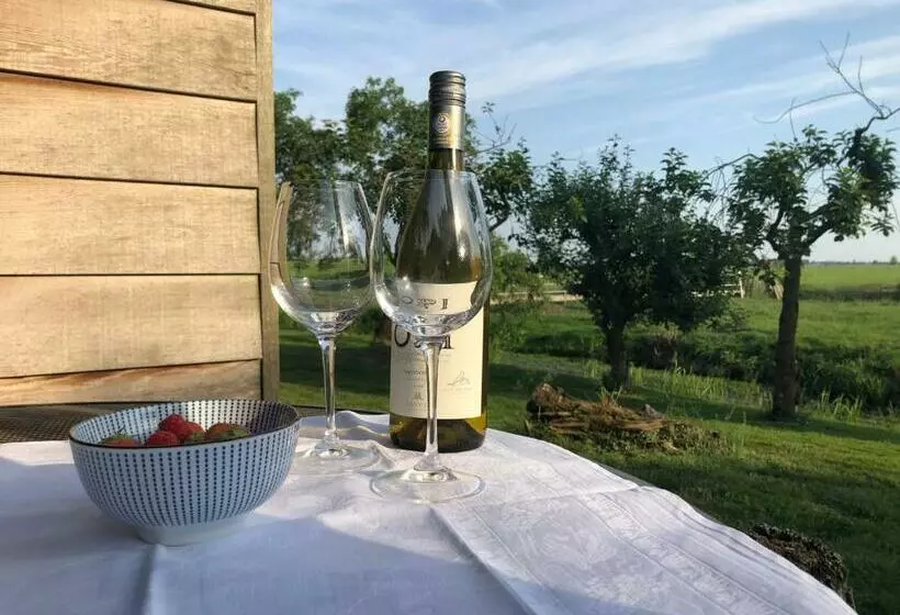 Aamiaismajoitus (B&B) Slapen Op Het Platteland