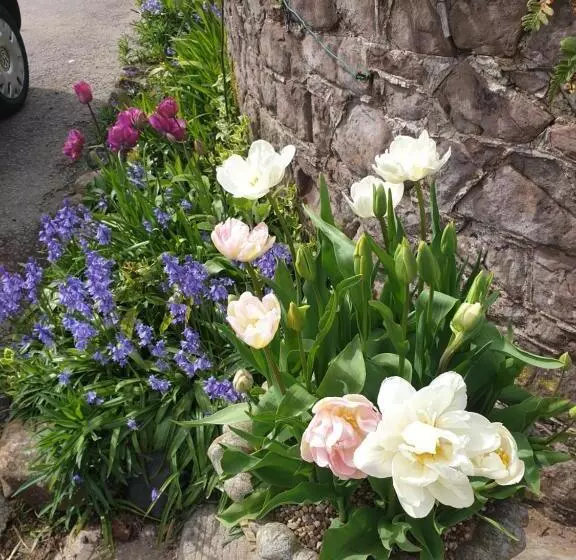 Aamiaismajoitus (B&B) The Millers Cottage