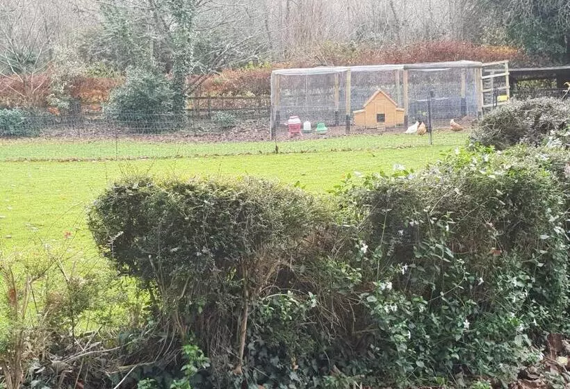 Aamiaismajoitus (B&B) The Millers Cottage