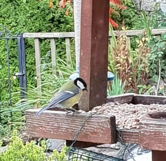 Aamiaismajoitus (B&B) The Millers Cottage