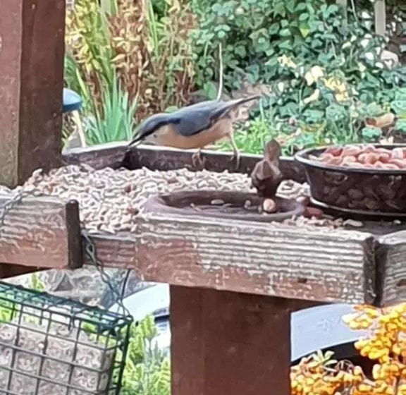 Aamiaismajoitus (B&B) The Millers Cottage