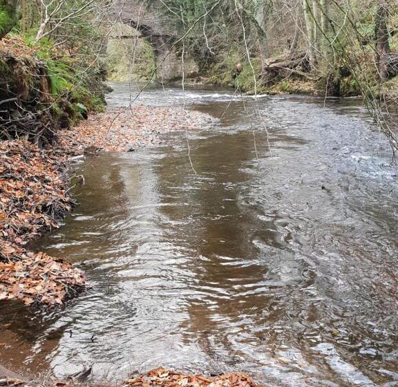 Bed and Breakfast The Millers Cottage