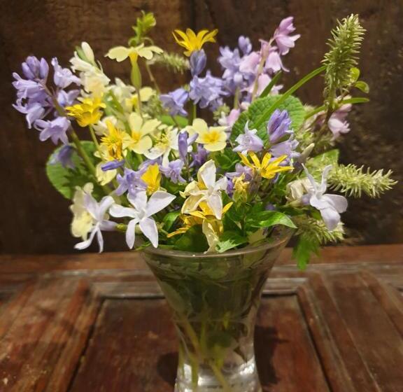 Bed and Breakfast The Millers Cottage