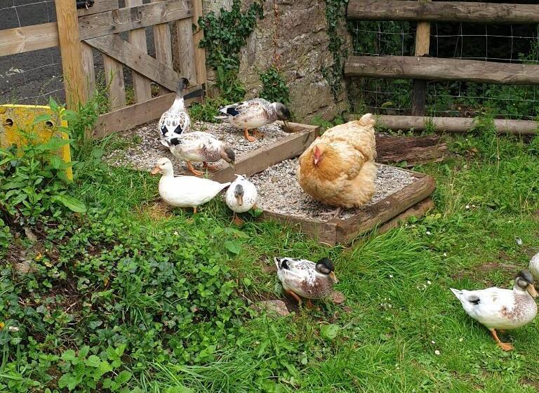 Bed and Breakfast The Millers Cottage