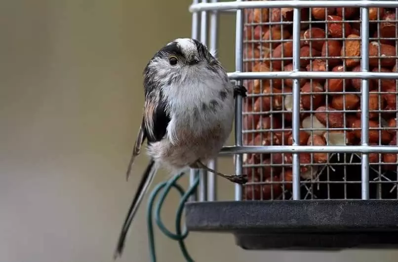 Aamiaismajoitus (B&B) The Millers Cottage